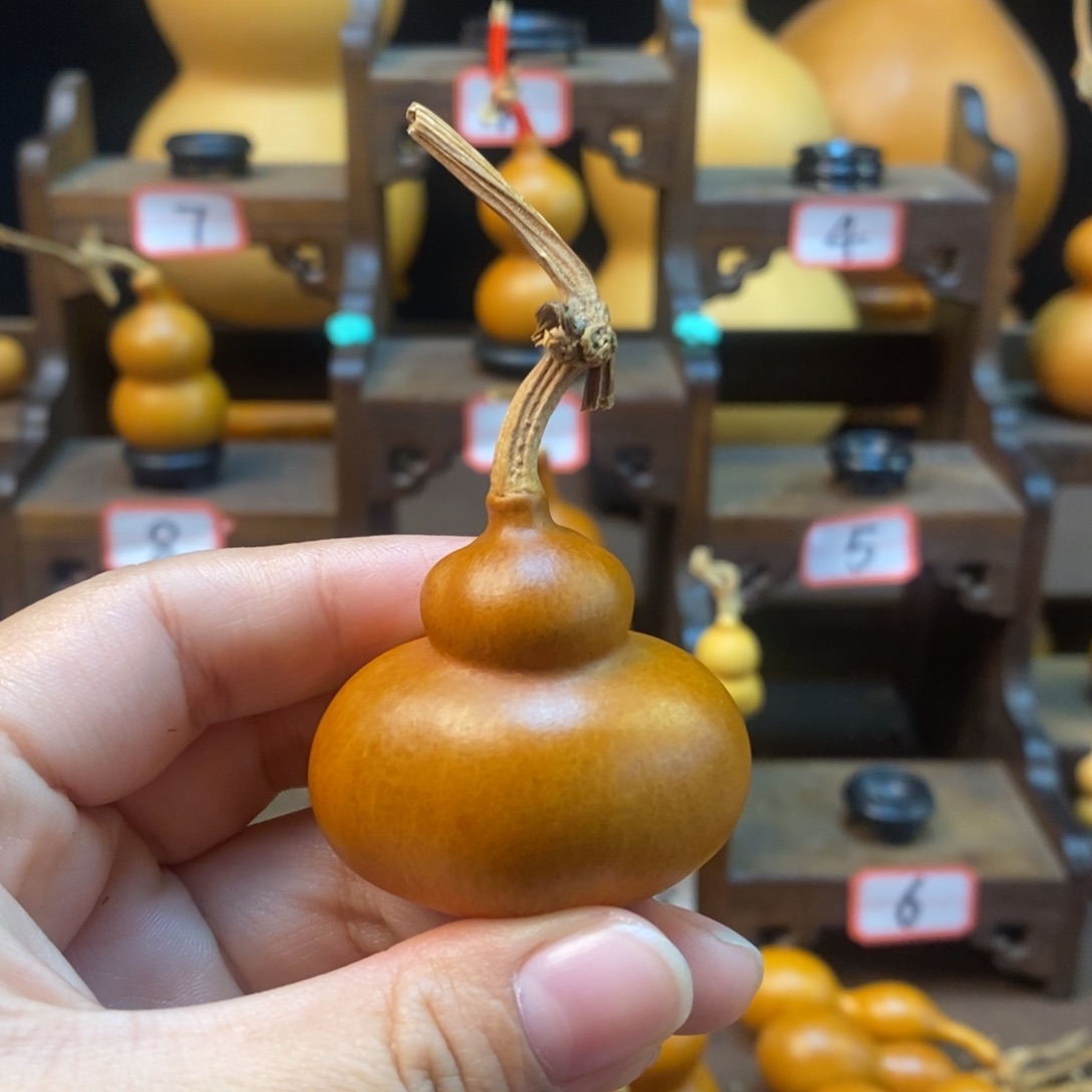 ****玖木咕噜咕噜咕噜咕噜咕噜
