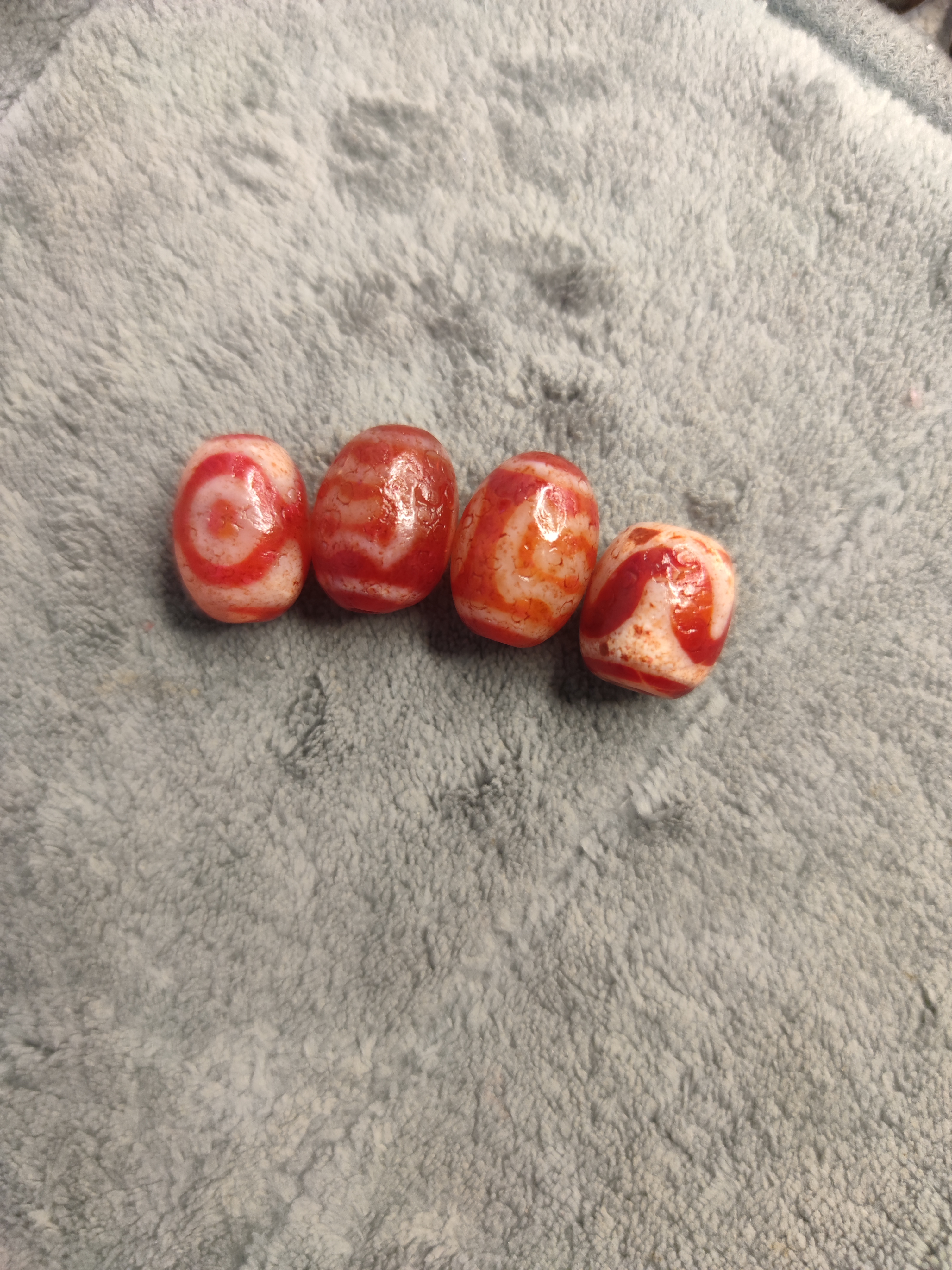 红肉达诺珠珠专拍