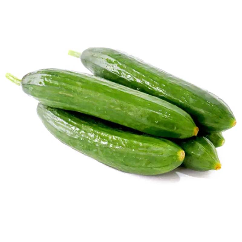 新鲜水果黄瓜小黄瓜500g-550g【低卡 脆爽 水果菜】