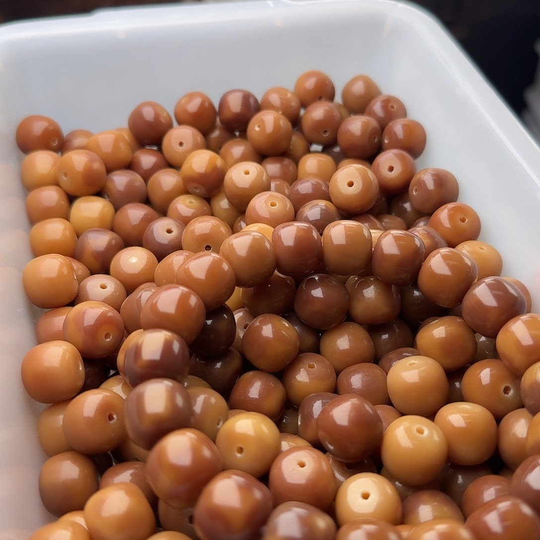 吊坠菩提根/象牙果50 颗虎斑花皮 13 桶