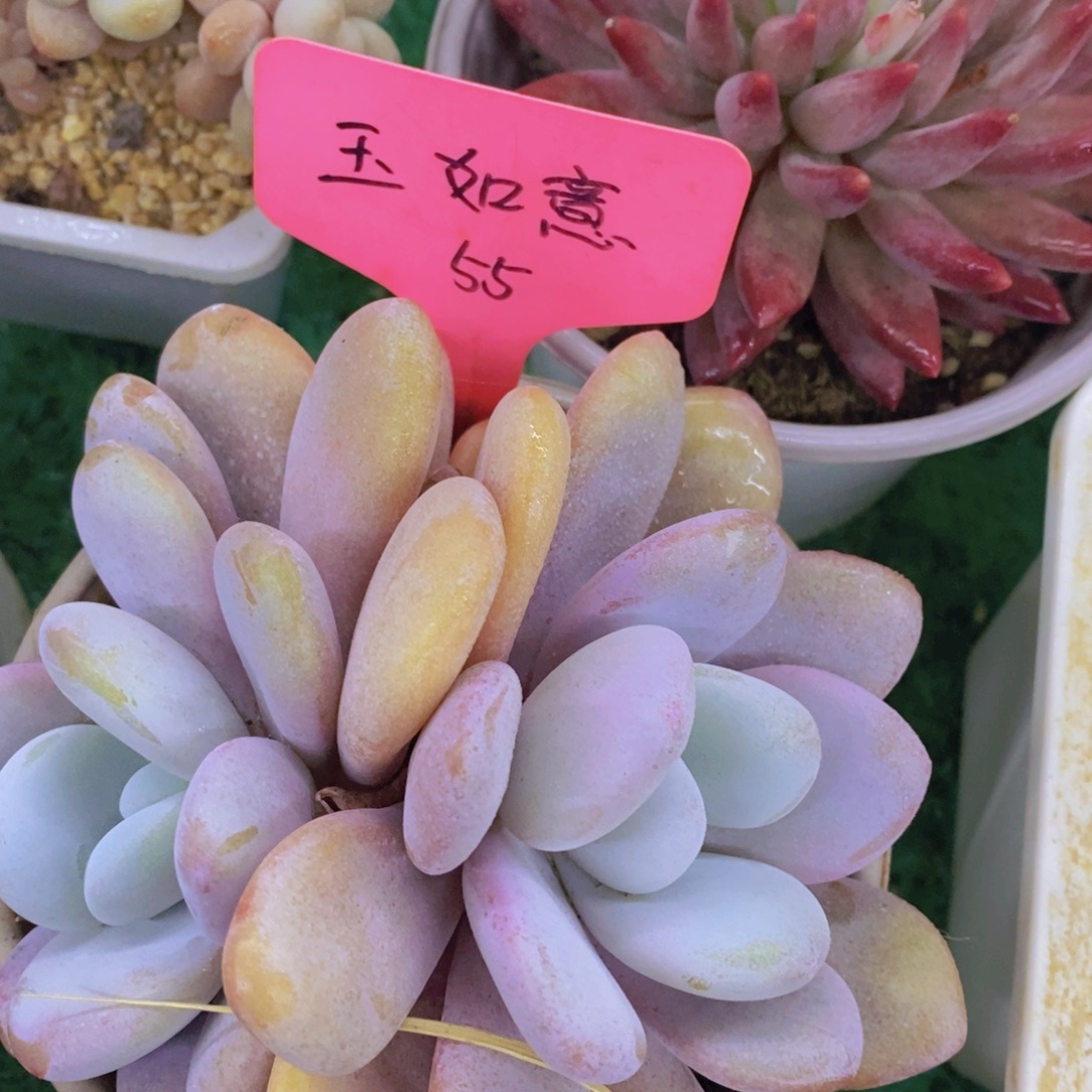 清货转场，一物一拍，看准