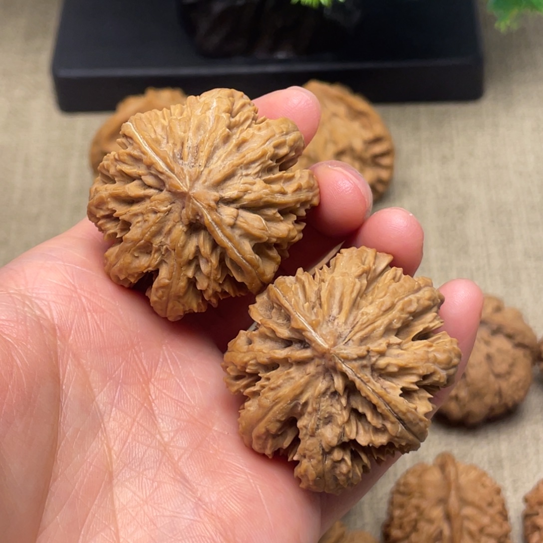 文玩核桃把件秦岭核桃15号