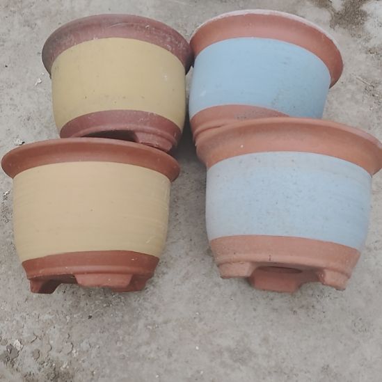 圆口19*14 微霞四个 黄2蓝2