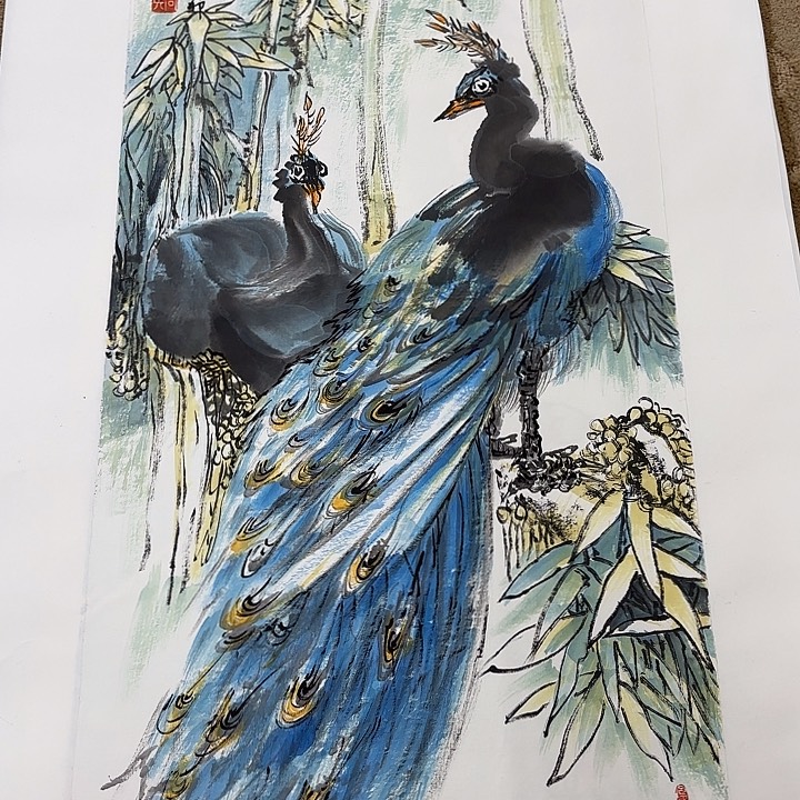 国画花鸟等多种鸟类的栖息地和