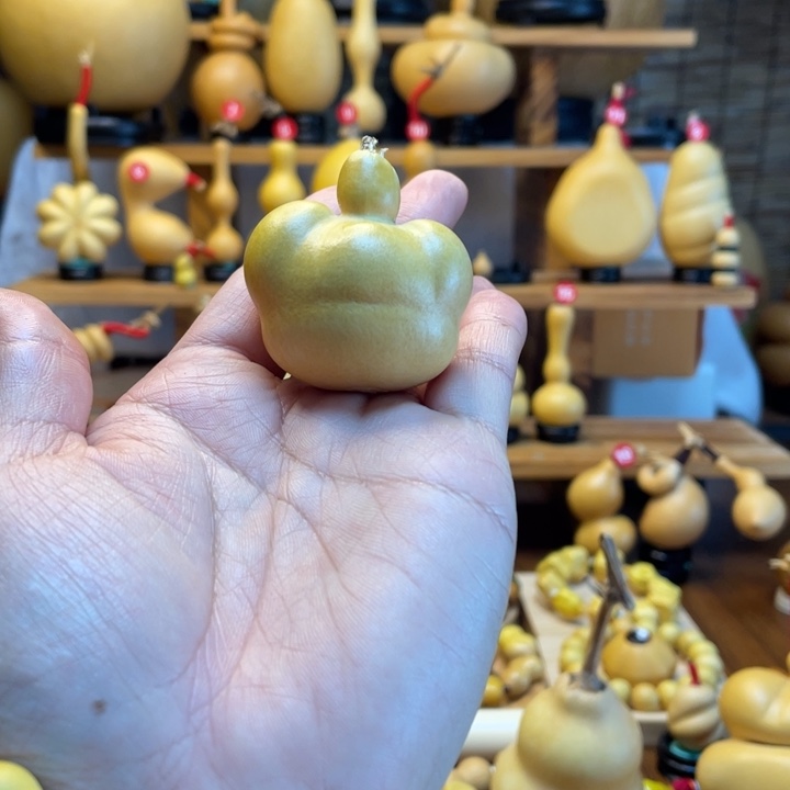 小***帅天然葫芦自然生长