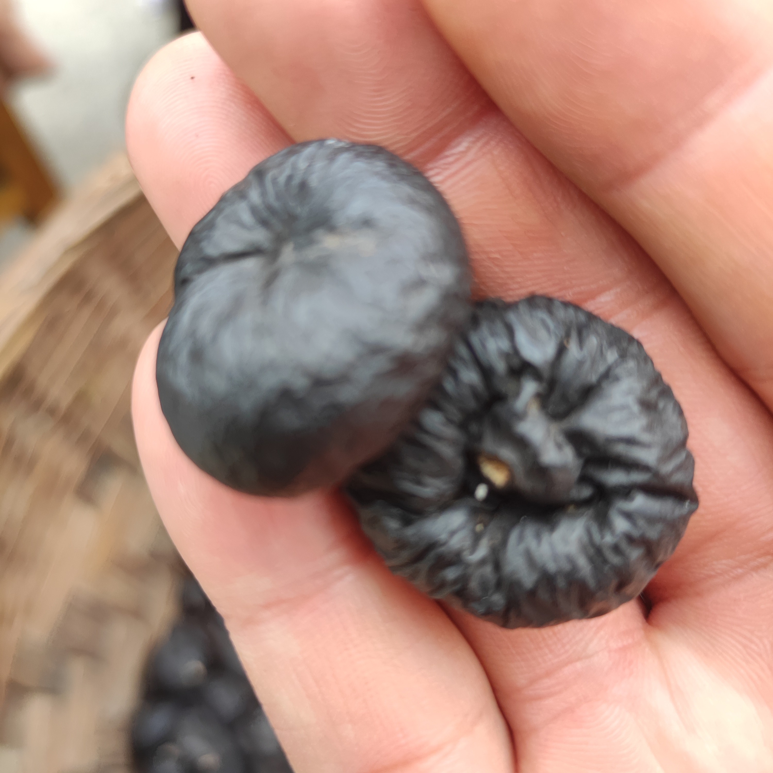云南土特产，乌，灵土特产