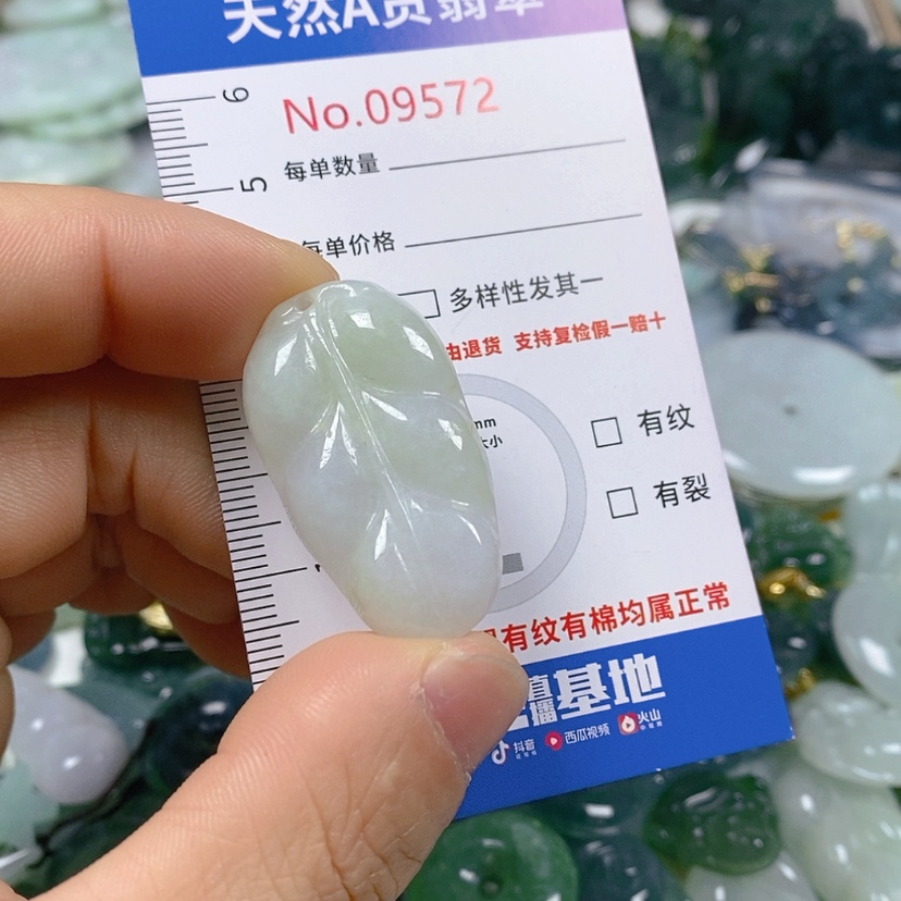 【闪购商品】翡翠颈饰未镶嵌天然翡翠