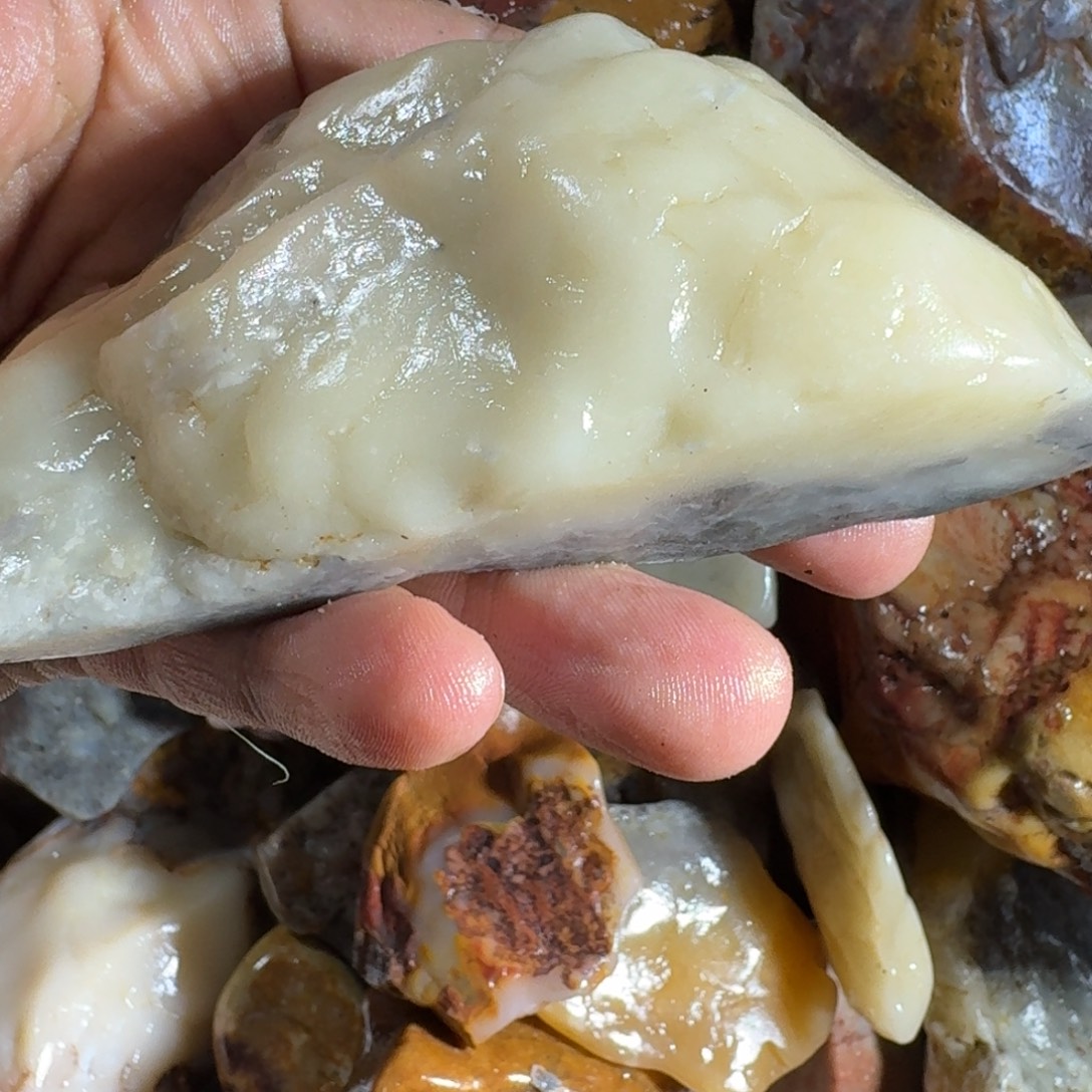 竹***风寿山石88888888888888