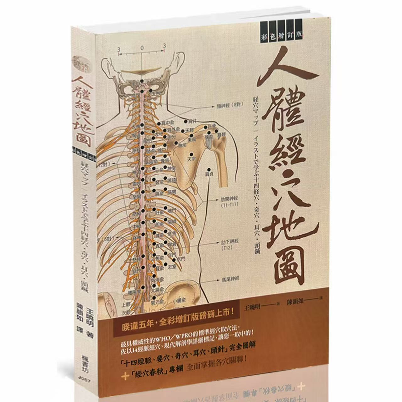 现货 人体经穴地图 彩色增订版（第二版） 枫书坊铜版纸A4大尺寸