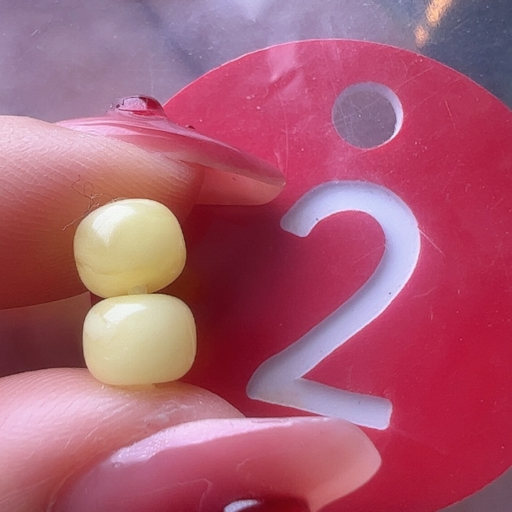 蜜蜡裸石未镶嵌6.3mm  老型