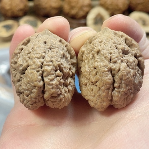 文玩核桃把件爆米花带彩40