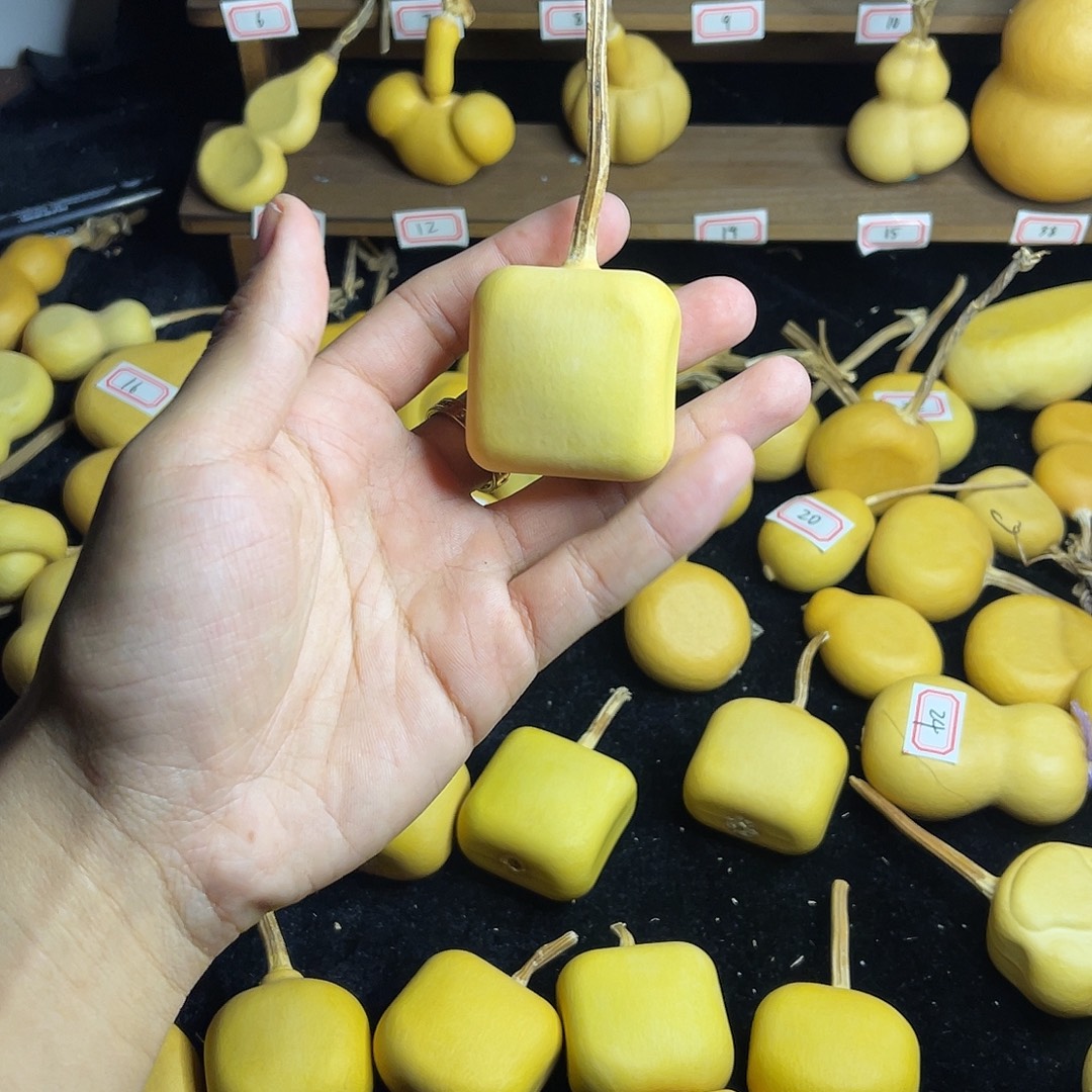 A***a小方盒葫芦一物一拍