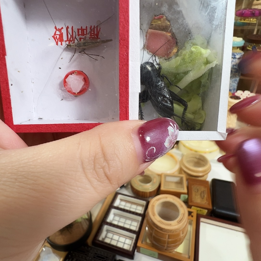 自***"哈哈哈糖果➕珊瑚红➕紫竹