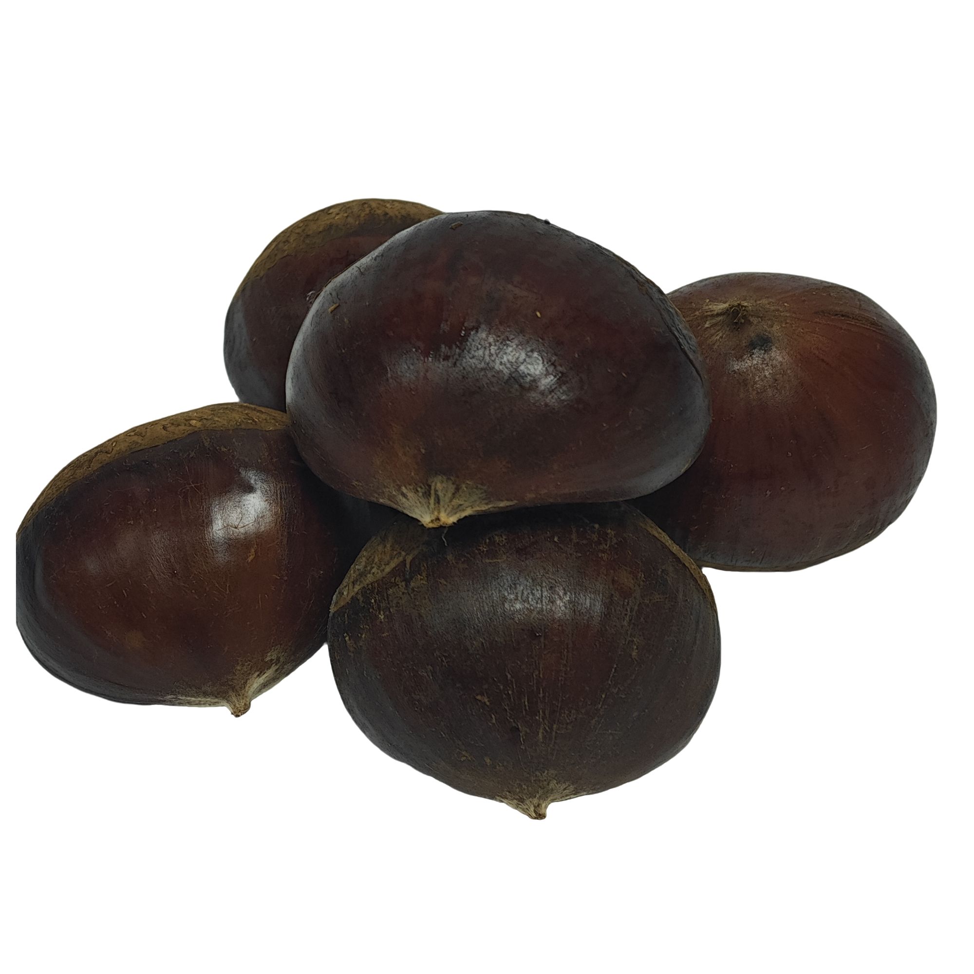 丹东板栗 1500g/袋（难剥皮可机器去皮）丹东板栗