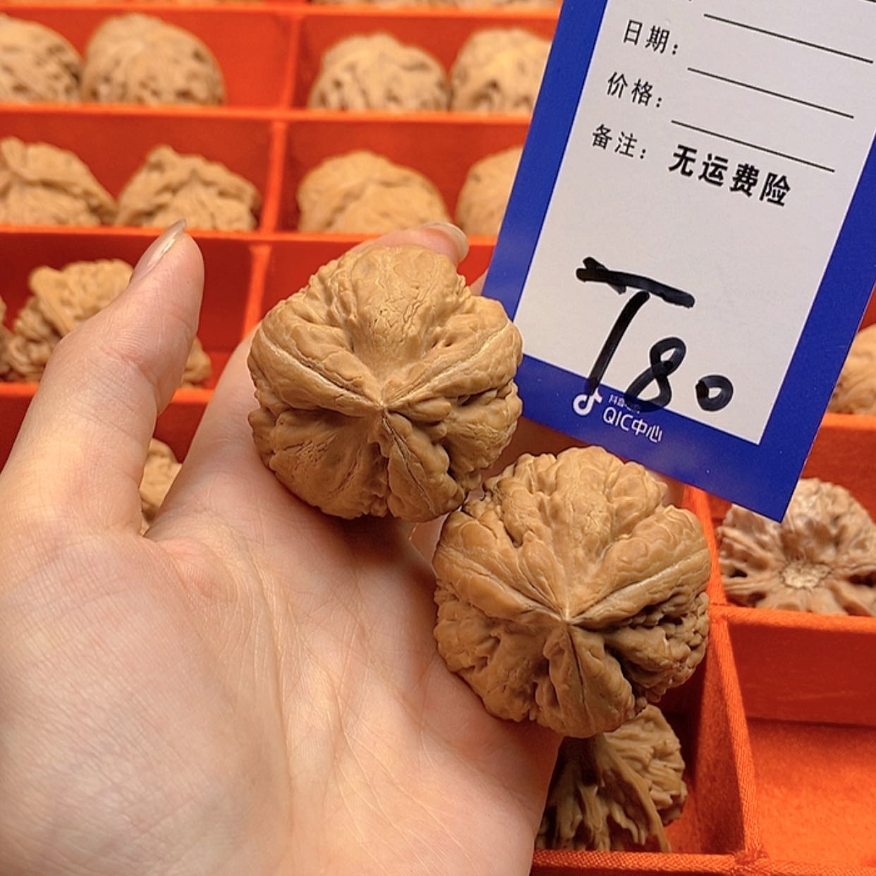【闪购商品】文玩核桃把件｡ﾟ****文玩核桃霸王龙三棱80
