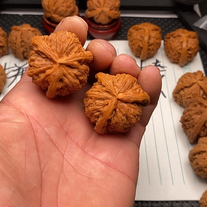 手串/手链核桃白狮子15