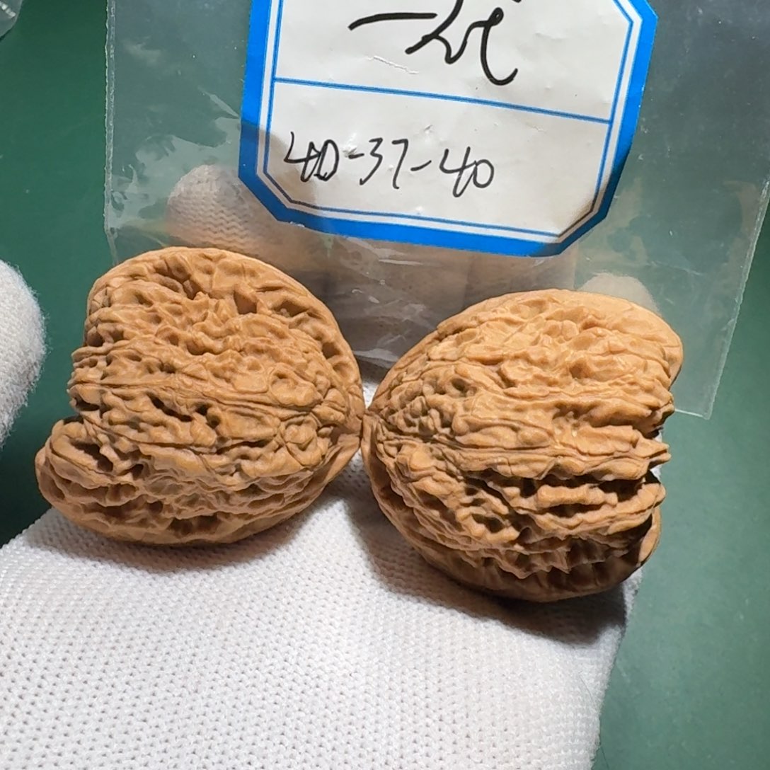 l***h文玩核桃吊坠58号一代（虫