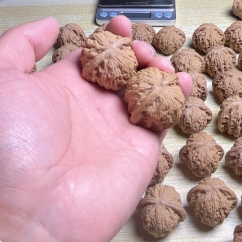 狗*丶磨盘狮子头38+手把件！