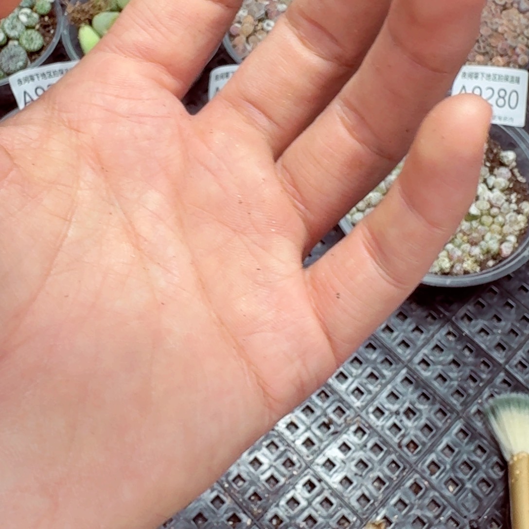 小***姐 ——-保温箱 保温箱——