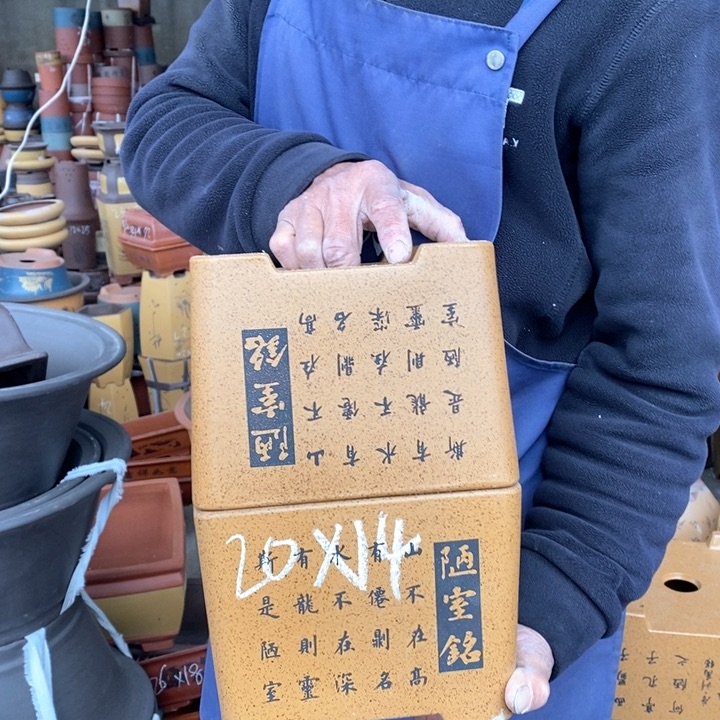 紫砂花盆盆栽花卉苗木