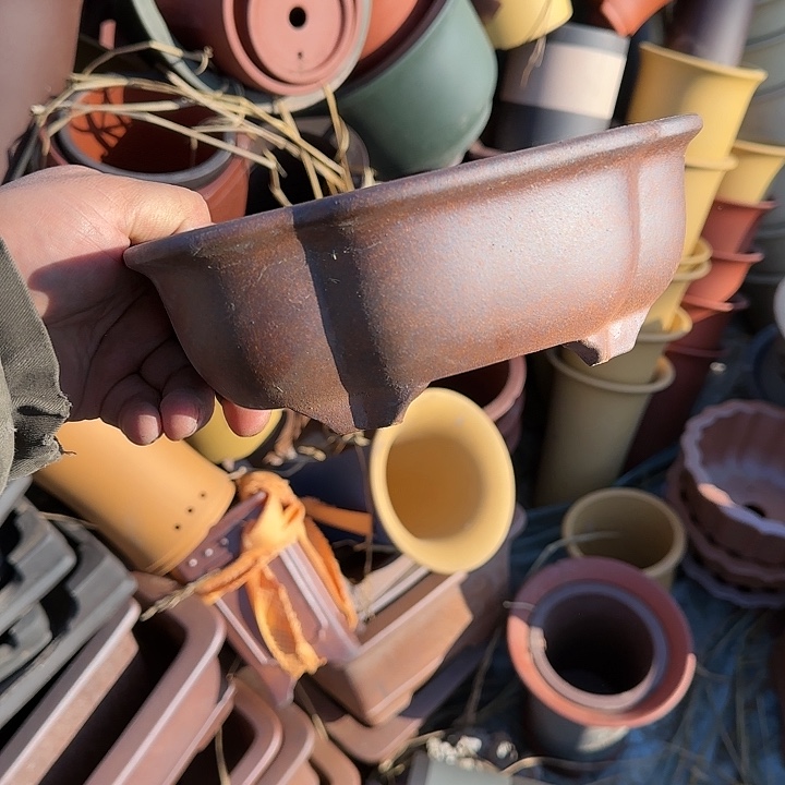 一次也不能多打个两万个嘛笑吐啊救命