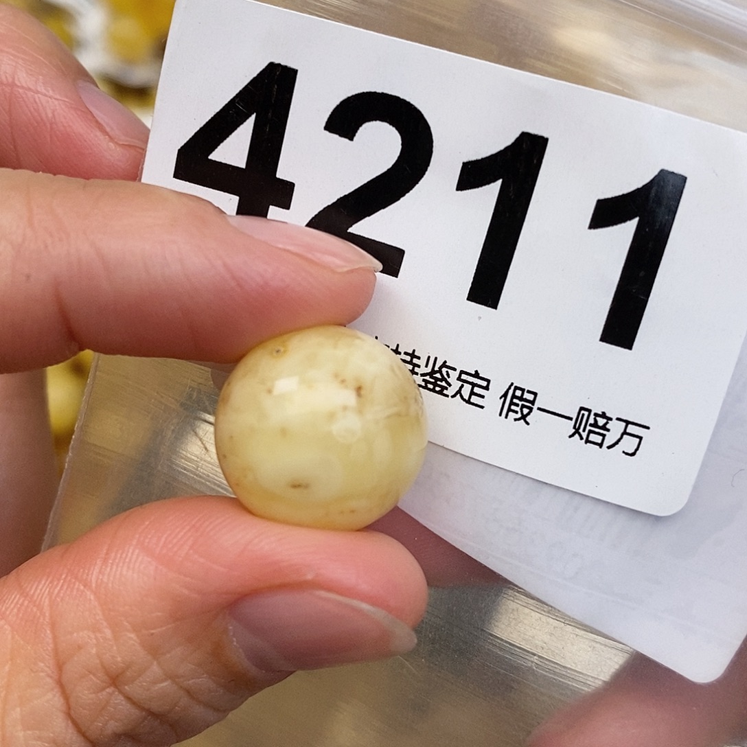 蜜蜡未镶嵌珠宝奇石16.4