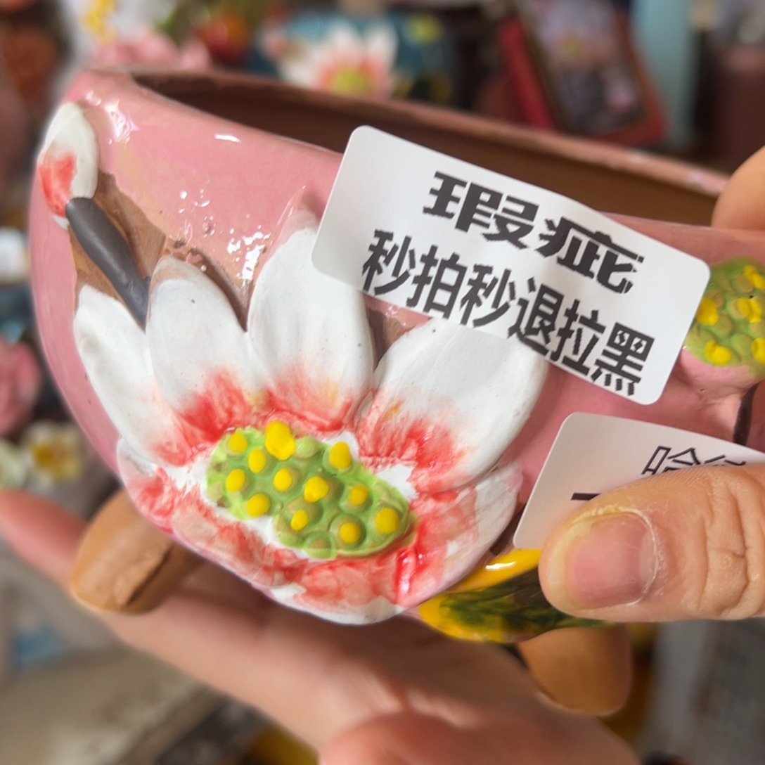 瑕疵741 花盆，满20发货，爱退款拉黑