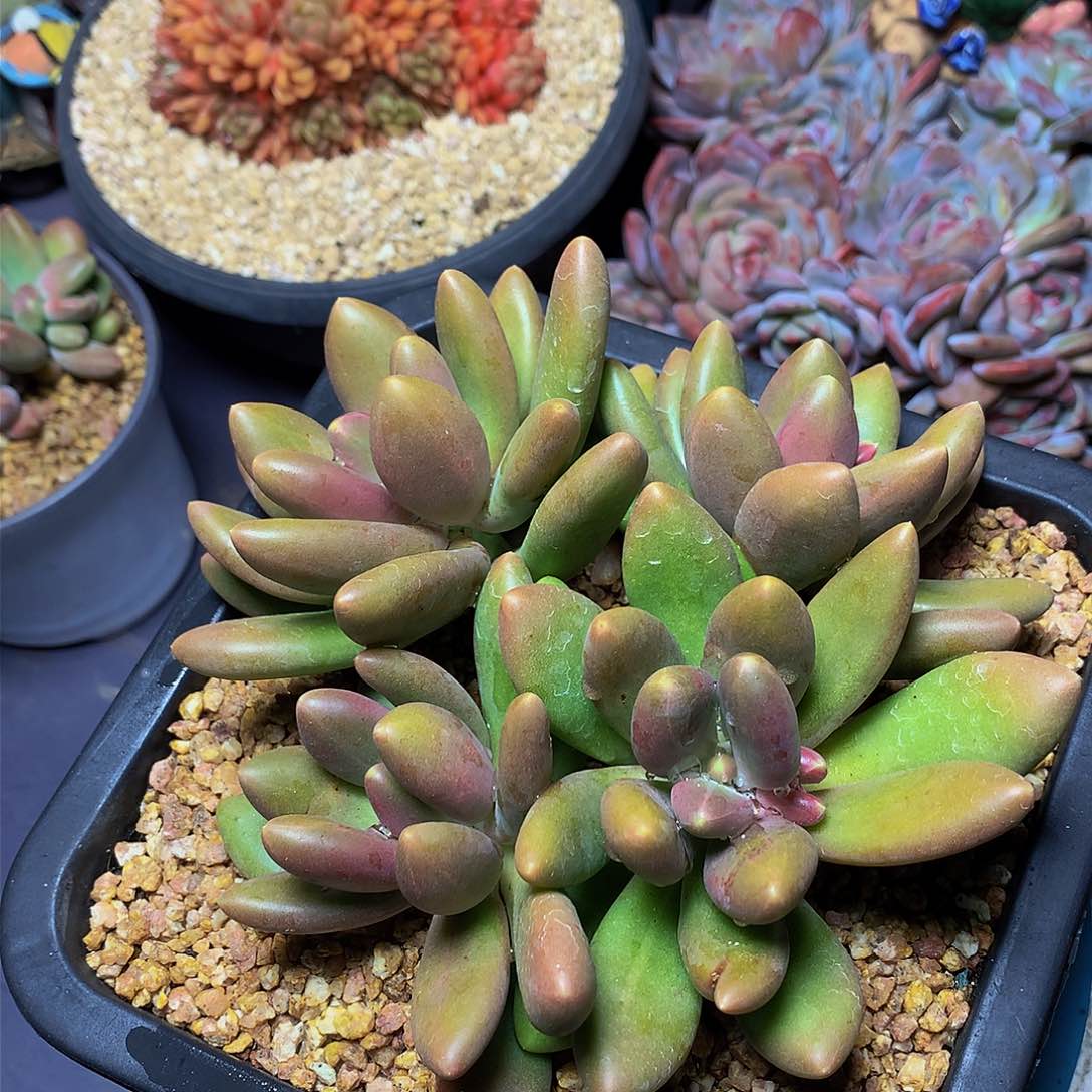 s***h哈哈哈哈哈哈哈哈