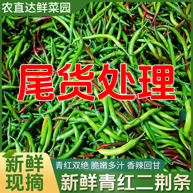 安徽本地中微辣青红紫混合线椒尾货新鲜美味