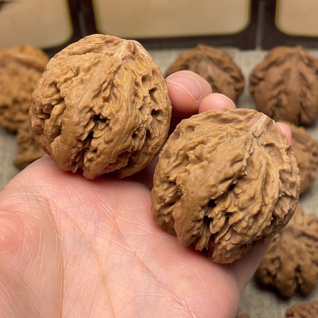 Z***P文玩核桃把件秦岭核桃21号