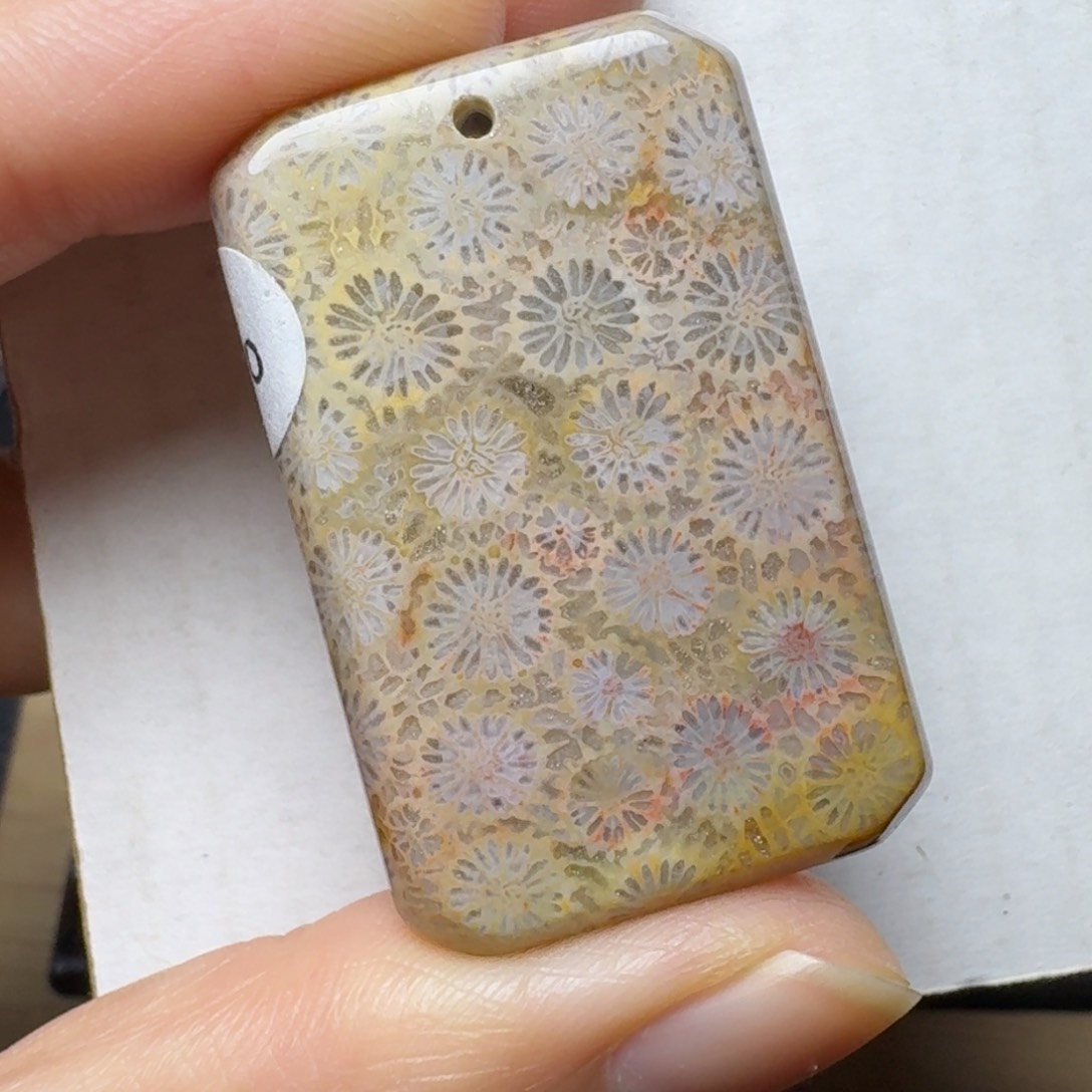 硅化玉绿彩美花，不盘未镶嵌