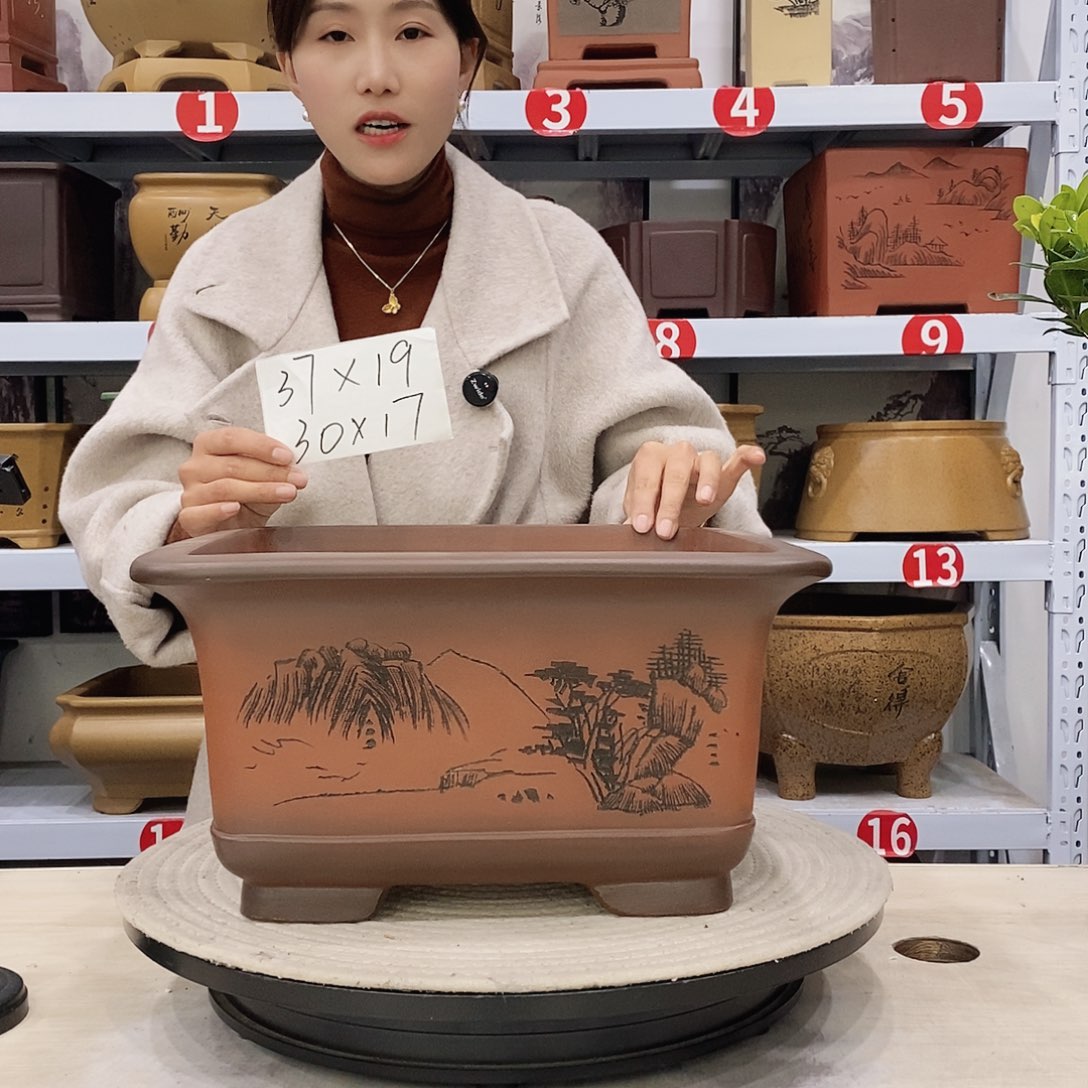 紫砂花盆紫砂花盆