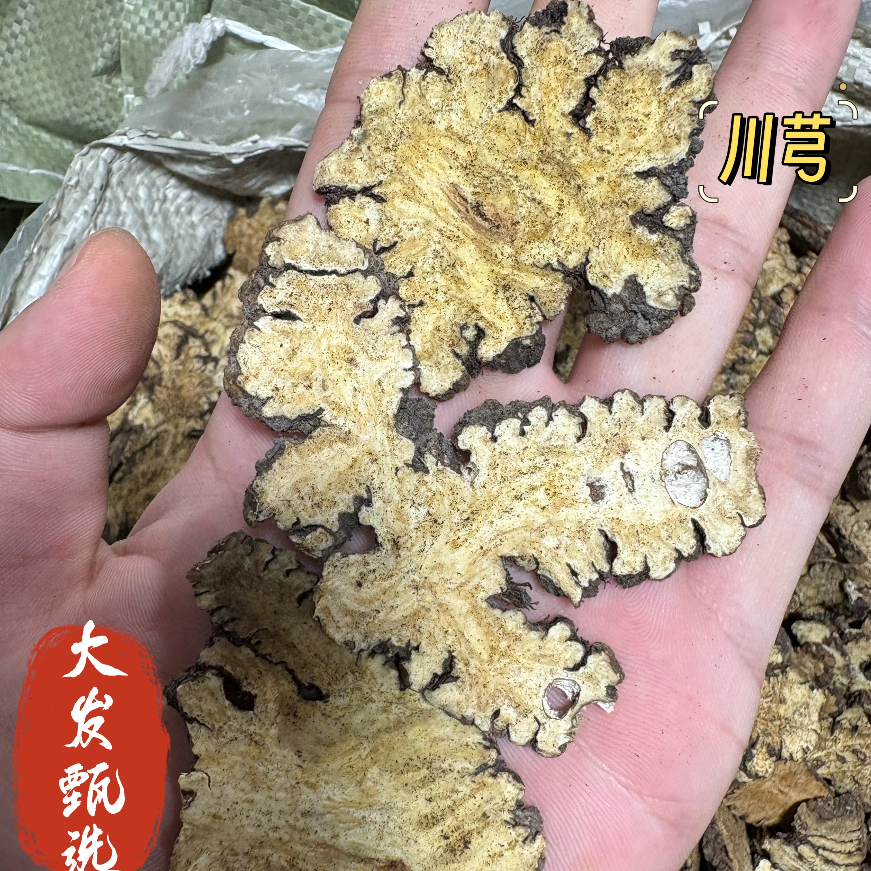 【大发甄选】川芎  四川川芎切片可搭配当归炖汤