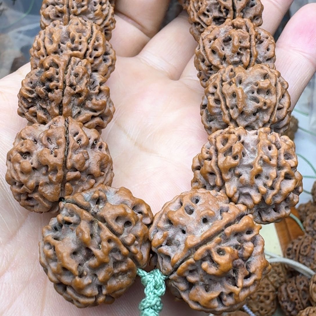 金刚菩提手串牛*儿深沟粗筋