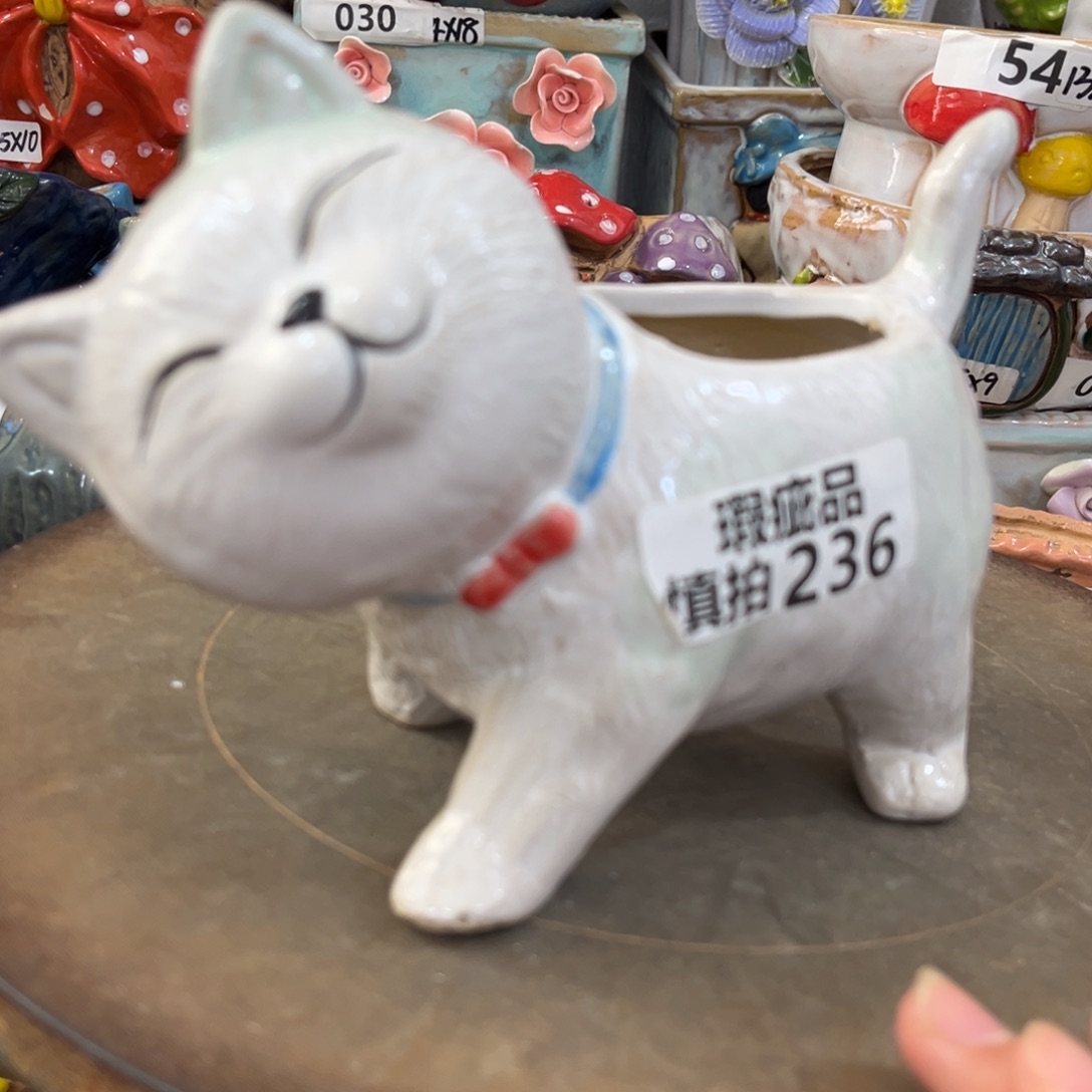 凑满15包邮发货发货