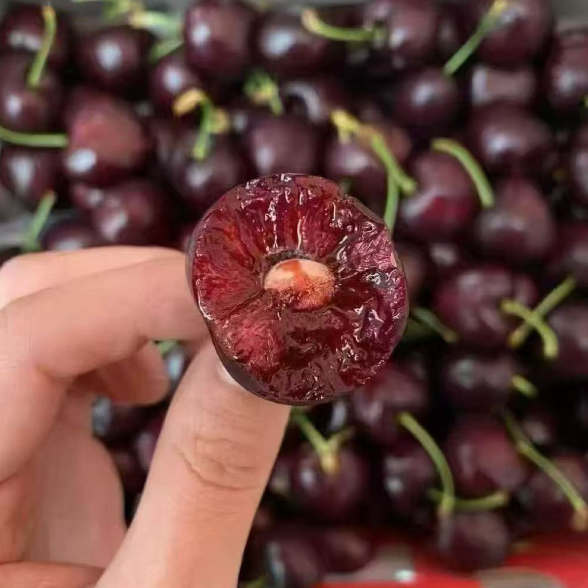 空运智利车厘子2JJ包甜包脆3斤智利