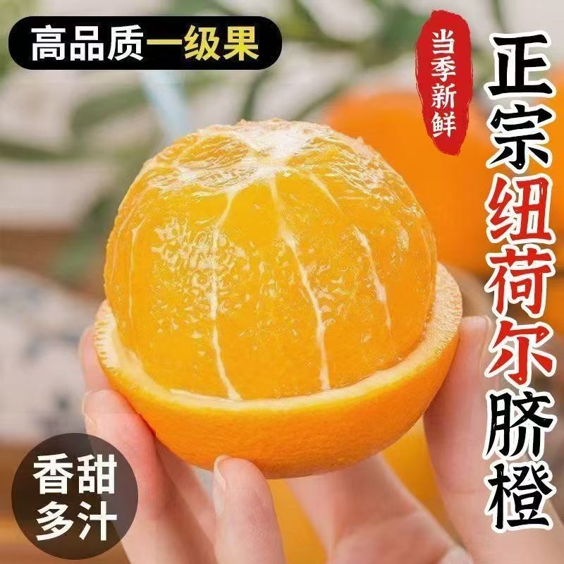 【正宗纽荷尔脐橙】香甜多汁果园直发新鲜应季水果多仓发货坏果包赔