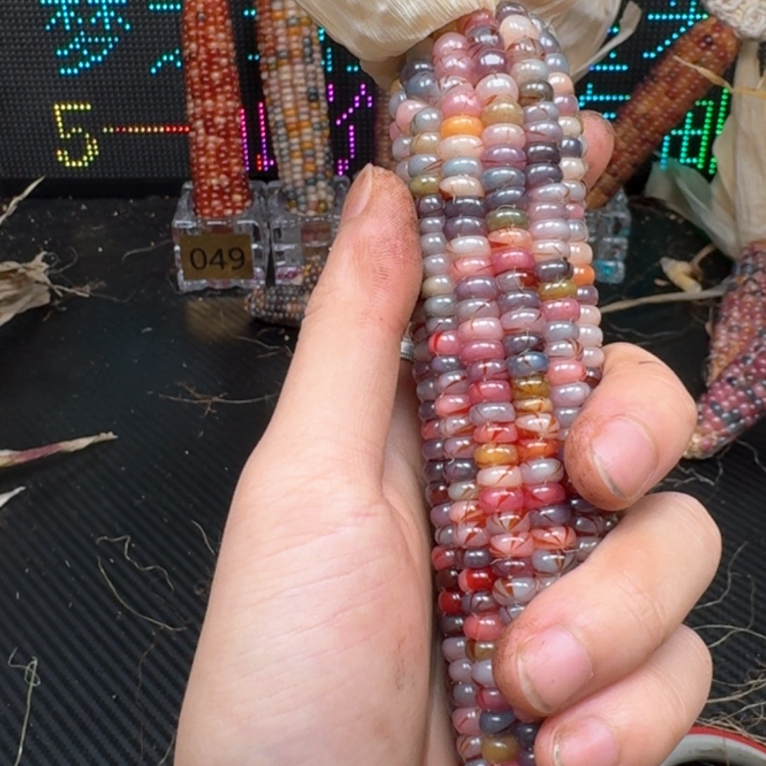 柏香籽/百香籽吊坠幽*