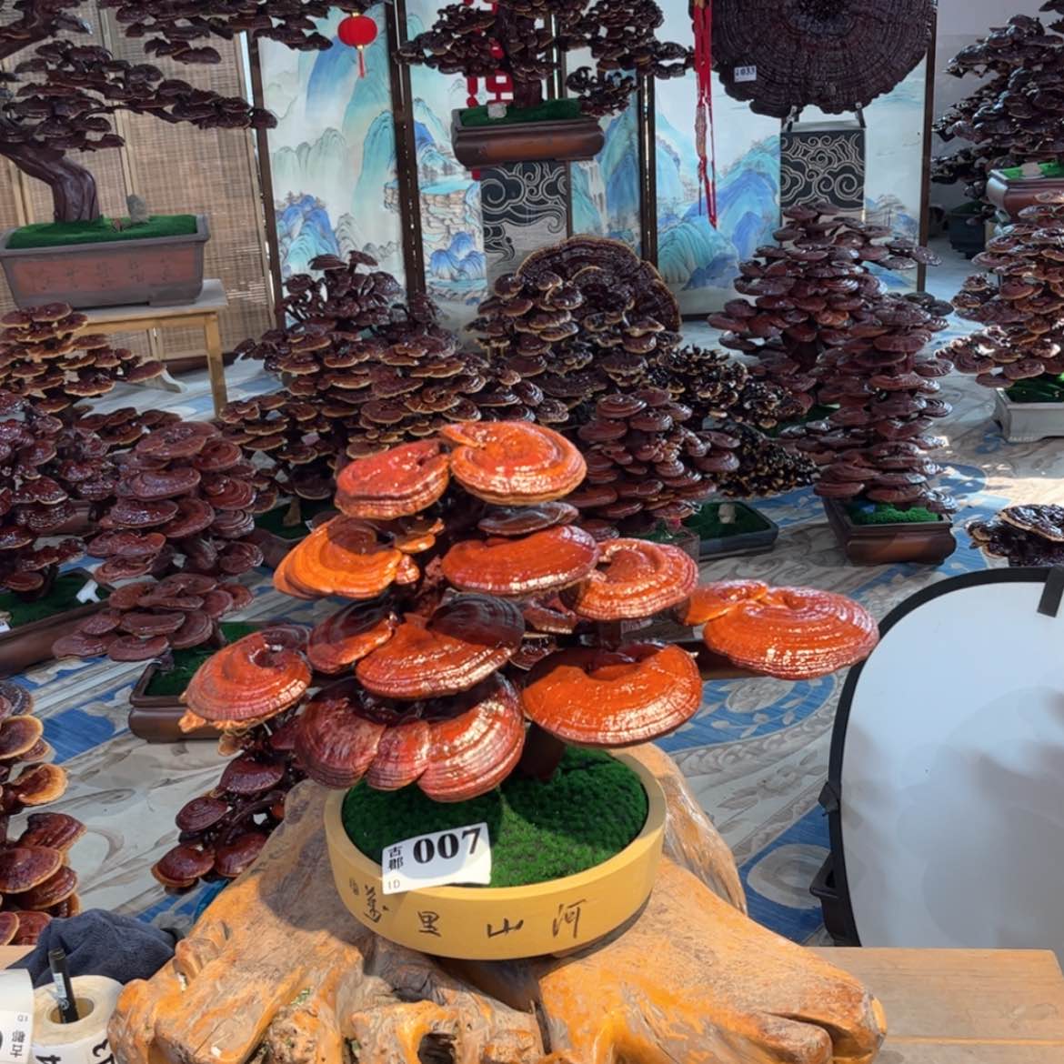 【闪购商品】88888