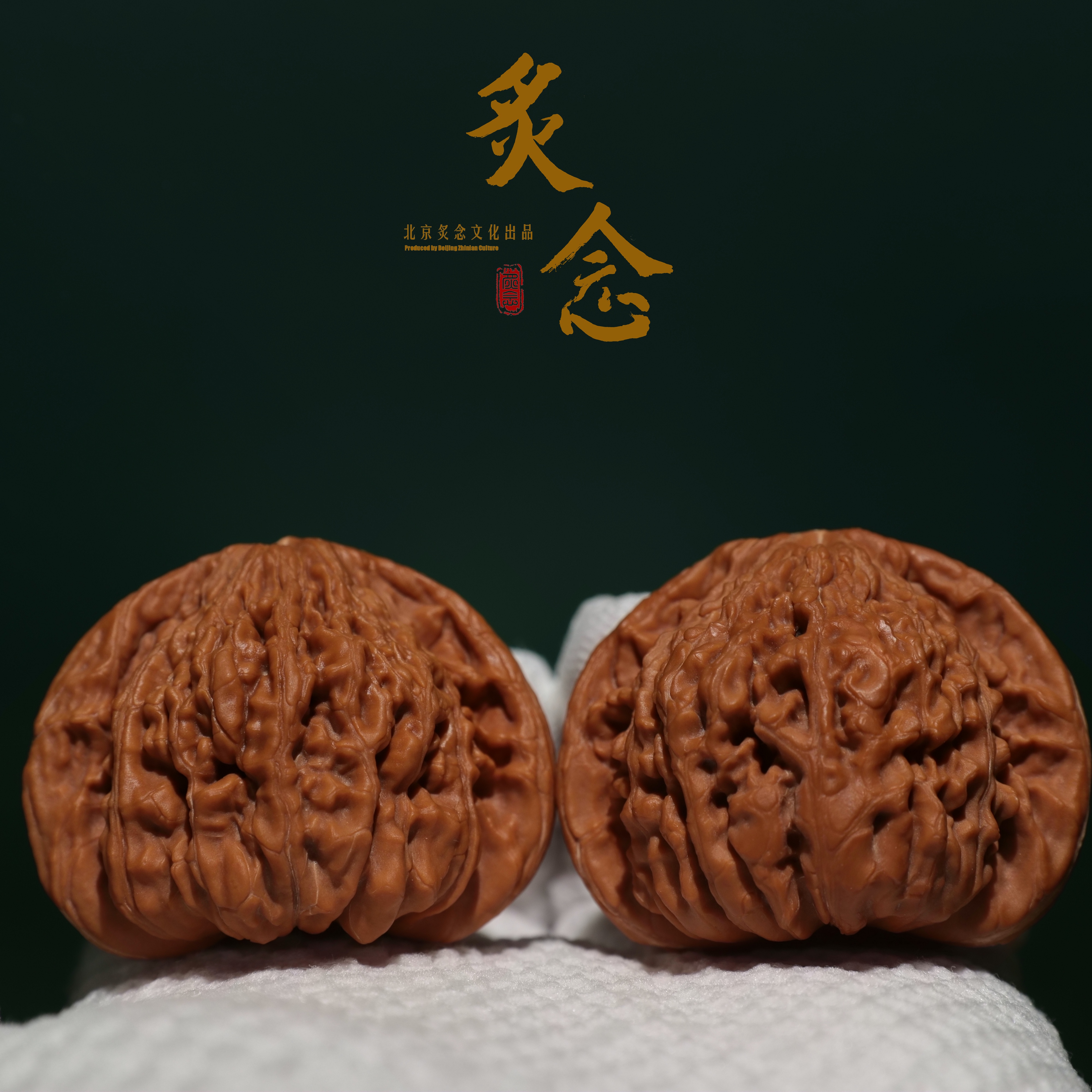 翻江龙 · 50-42-39 一物一图 文玩好物 