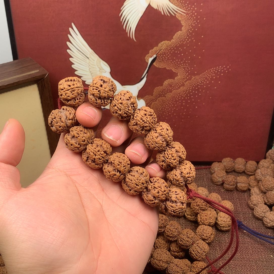 手串金刚菩提3、福利龙爪