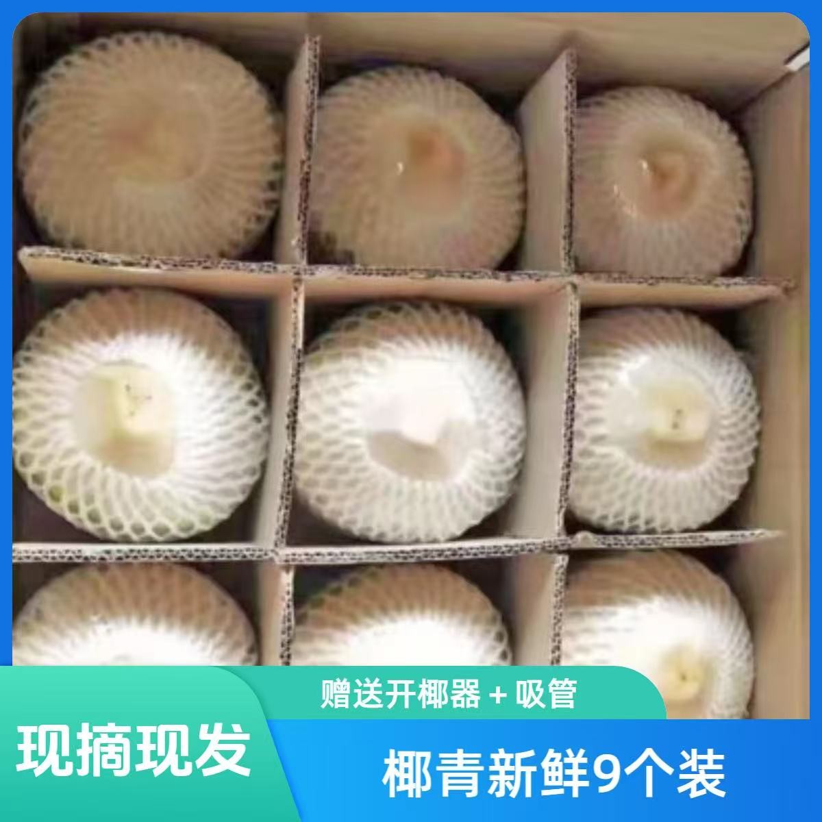 海南新鲜椰青精选大果清甜椰汁低糖低热量孕妇水果海南文昌直发