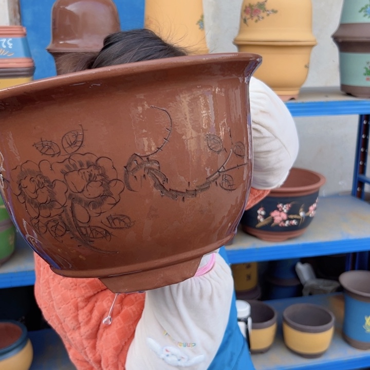 28紫色三角金钟花盆花盆花盆