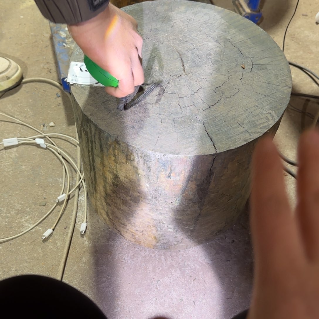 大果紫檀（缅甸花梨）大*绿檀503