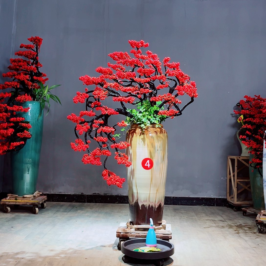 无花朵111111111111