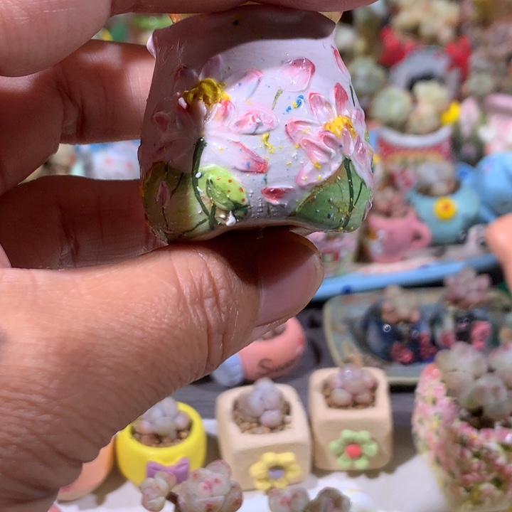 26号 空盆不带肉内口2.5 满100包邮