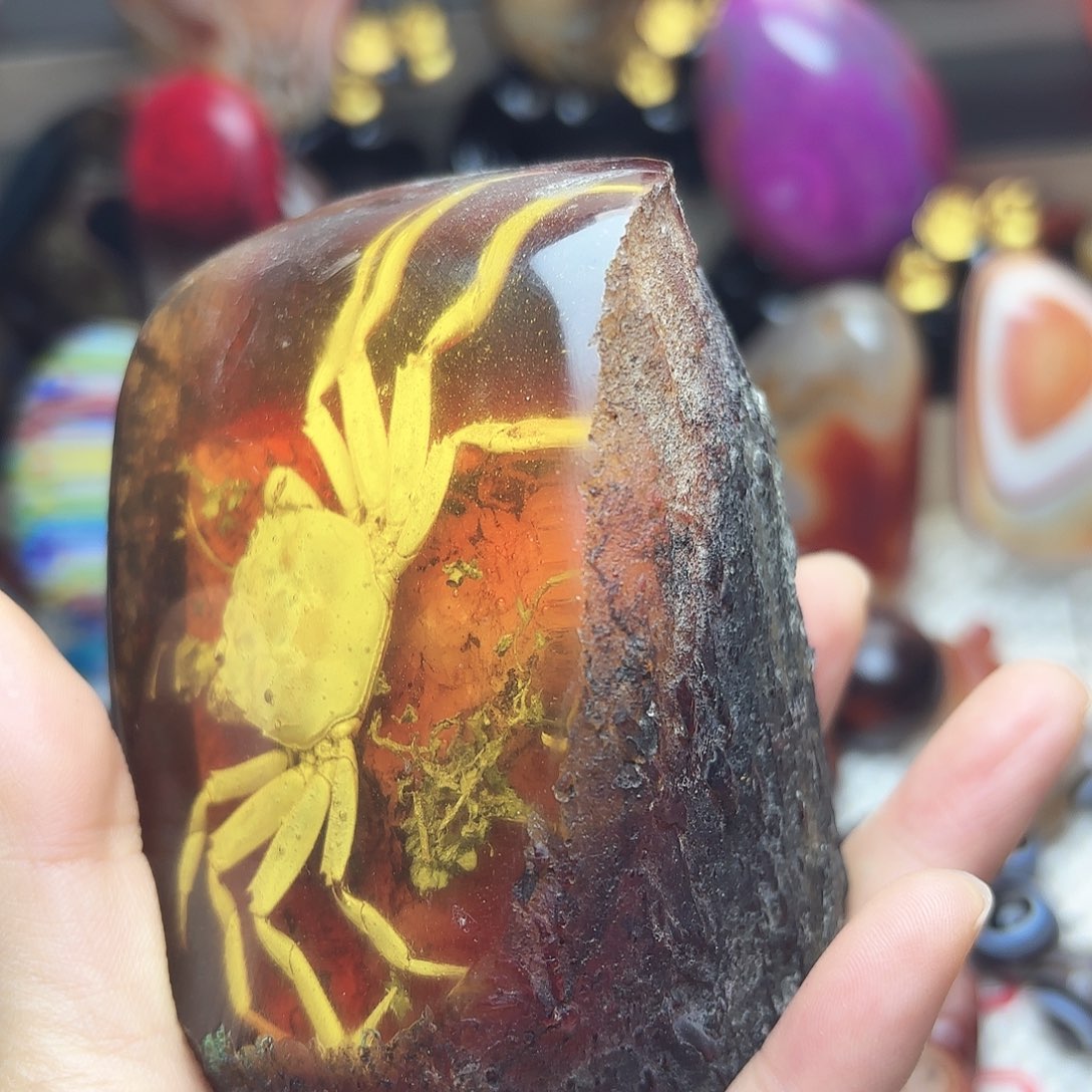 隋***弋玛瑙/玉髓未镶嵌珠宝半成品