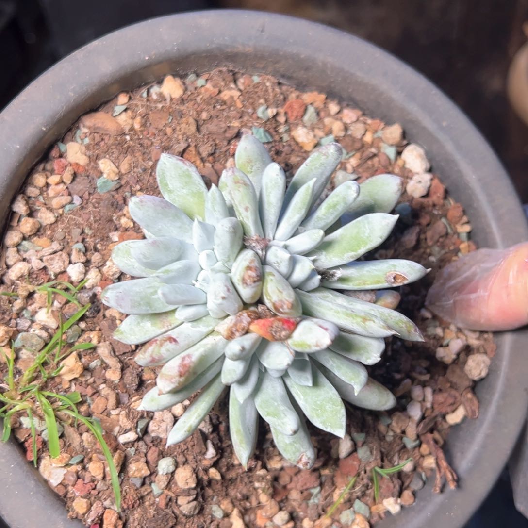 7052哈哈哈哈哈哈哈哈