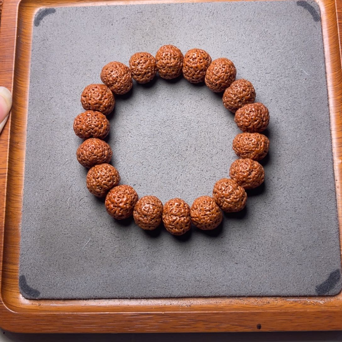 丰***人菩提13号金刚菩提五星蜂王菠萝蜜17