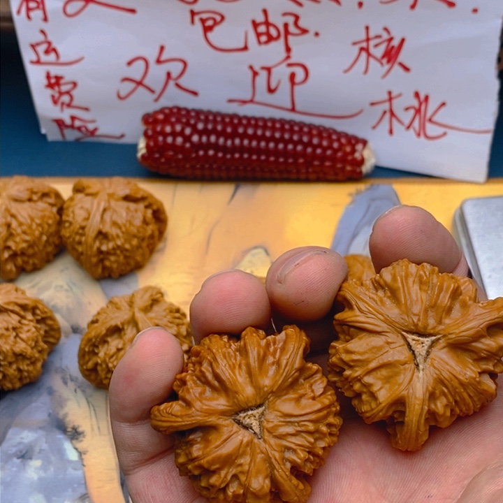 文玩核桃把件c*42.5白狮子